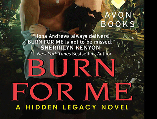 Book Review # 5: Burn For Me