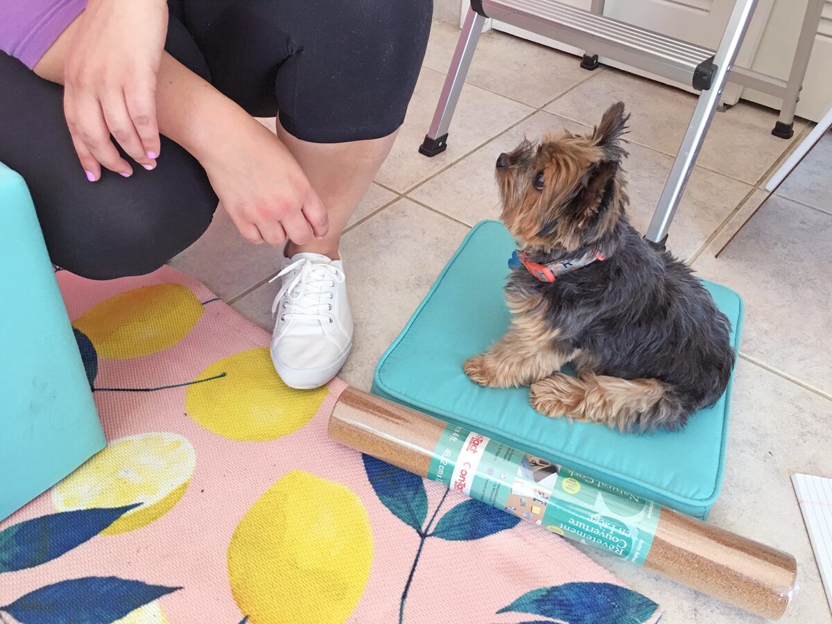 How to build a dog ramp tutorial - Pancho