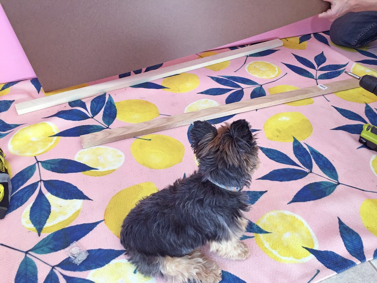 How to build a dog ramp tutorial - Pancho