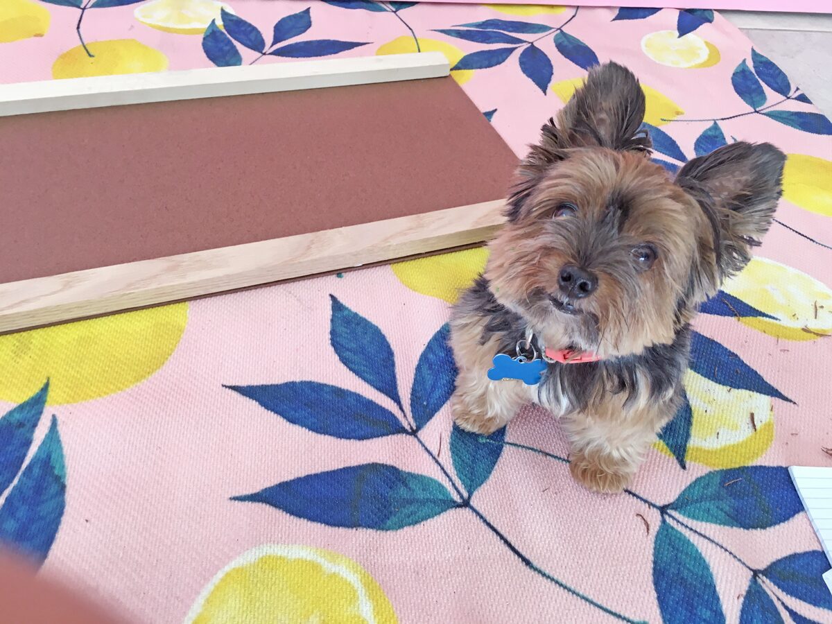 How to build a dog ramp tutorial - Pancho