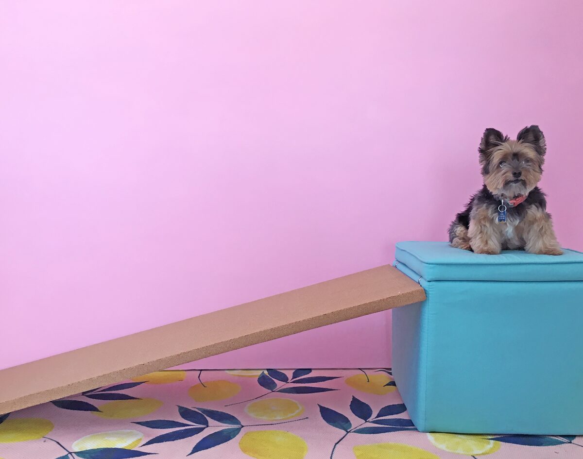 How to build a dog ramp tutorial - Pancho