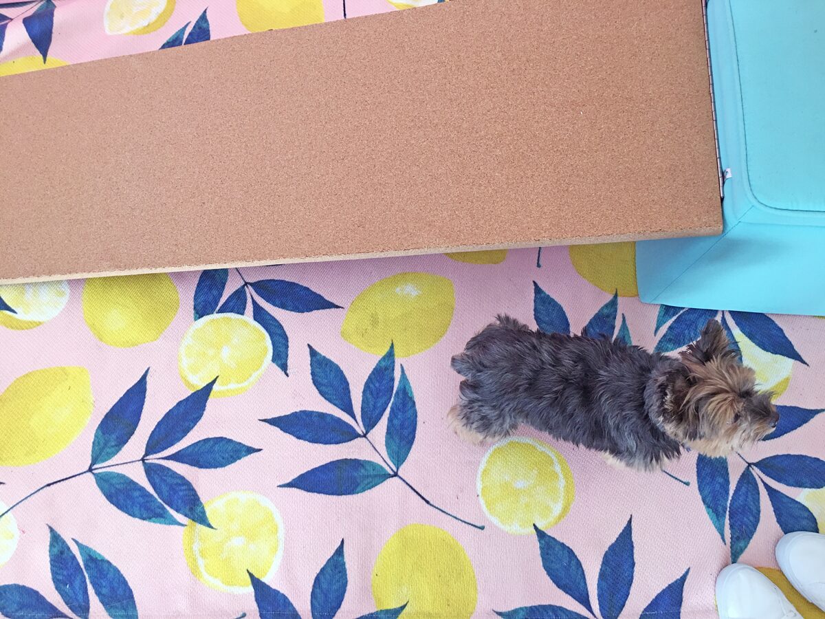 How to build a dog ramp tutorial - Pancho
