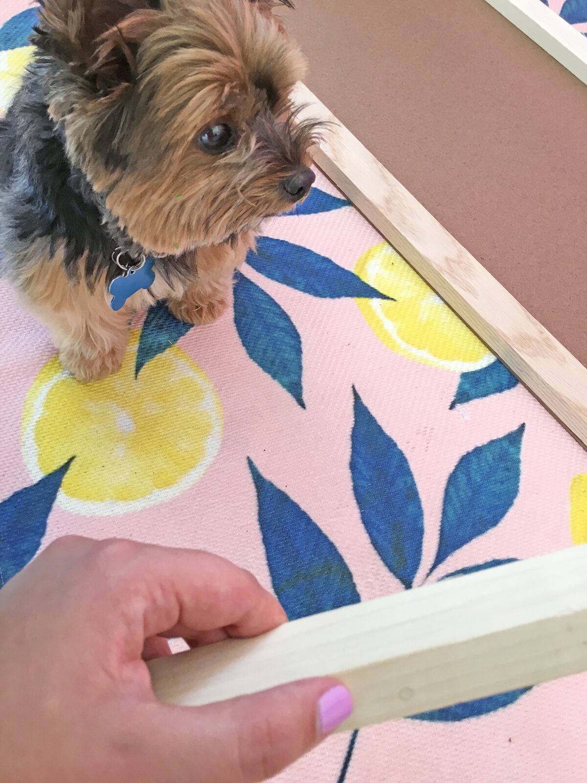 How to build a dog ramp tutorial - pancho
