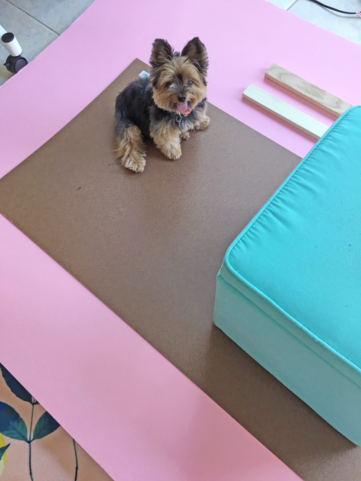 How to build a dog ramp tutorial - pancho